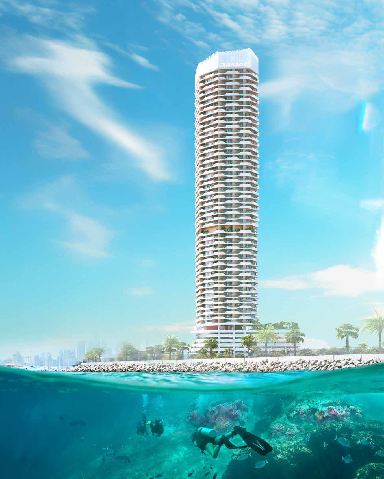 Coral Reef image 6