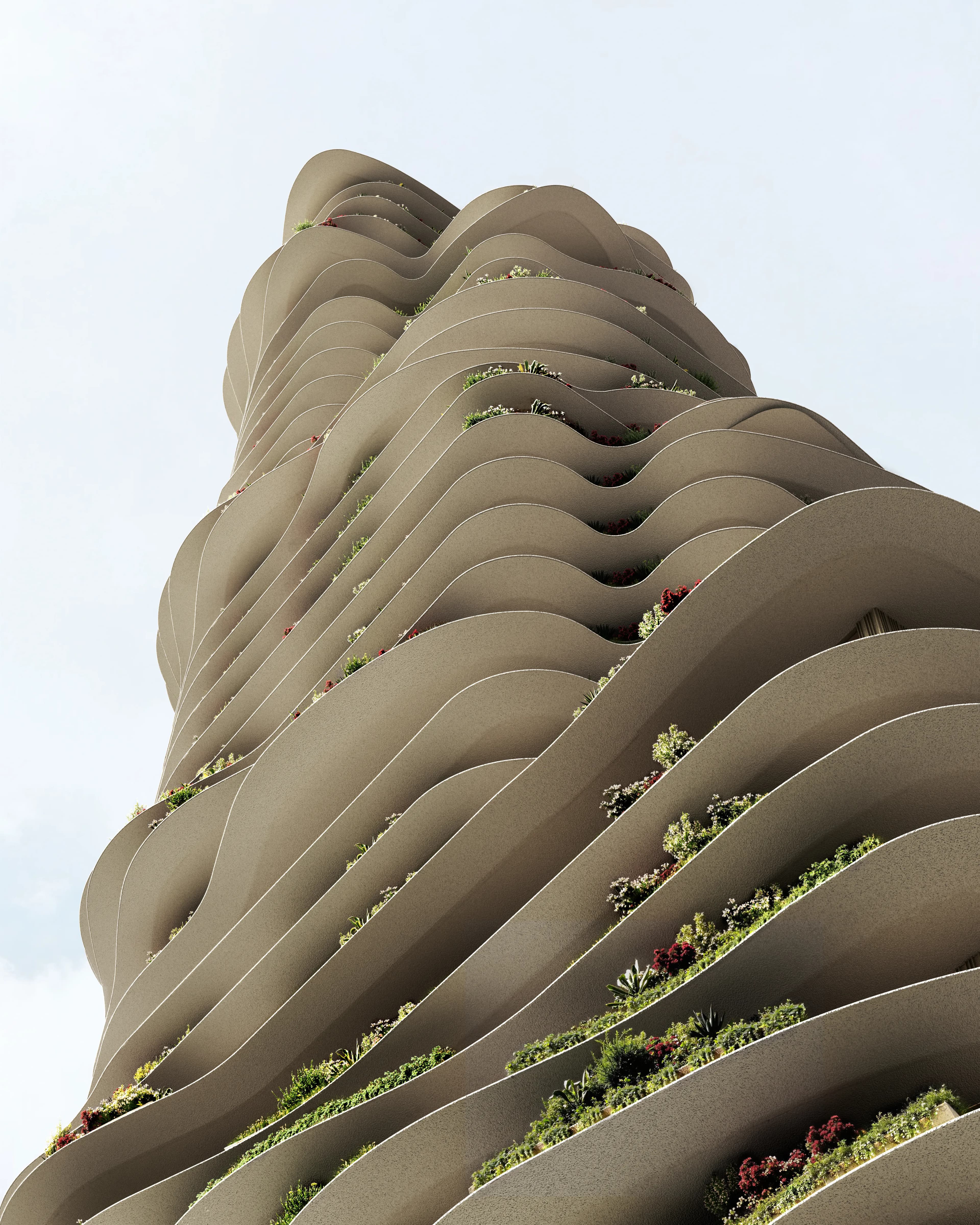 Wedyan – The Canal image 4