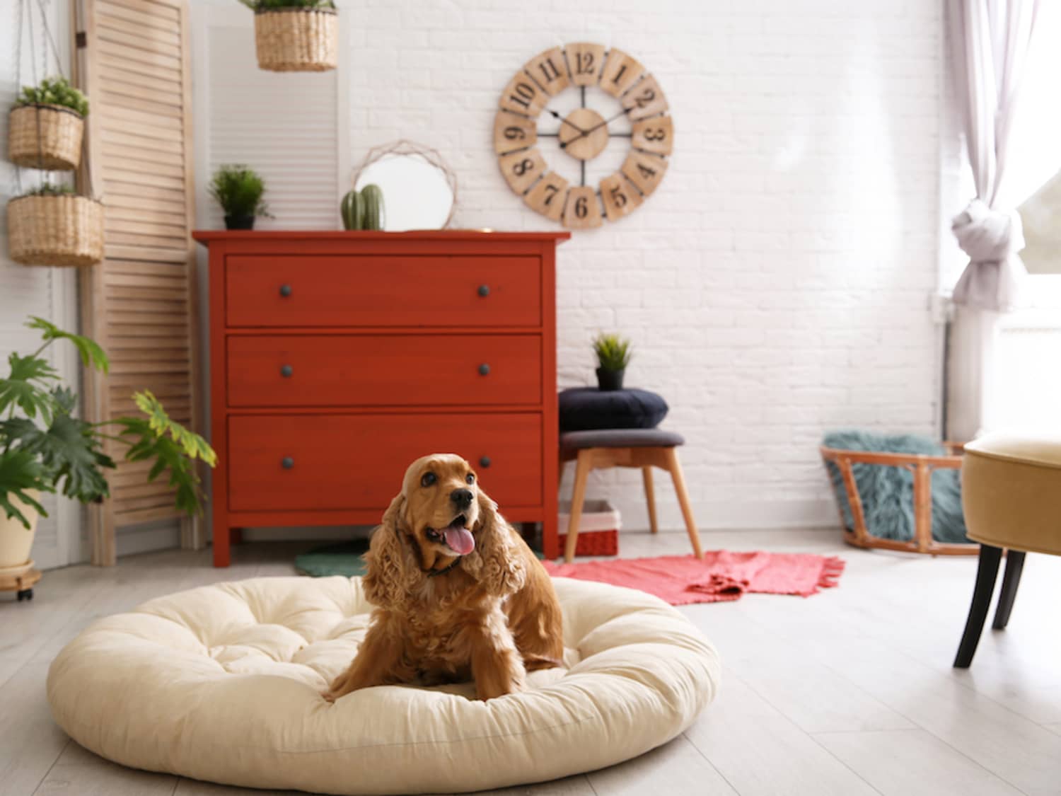 25h Heimat amenity Pet Station In Lobby - Downtown Dubai, Dubai - by East and West International Group