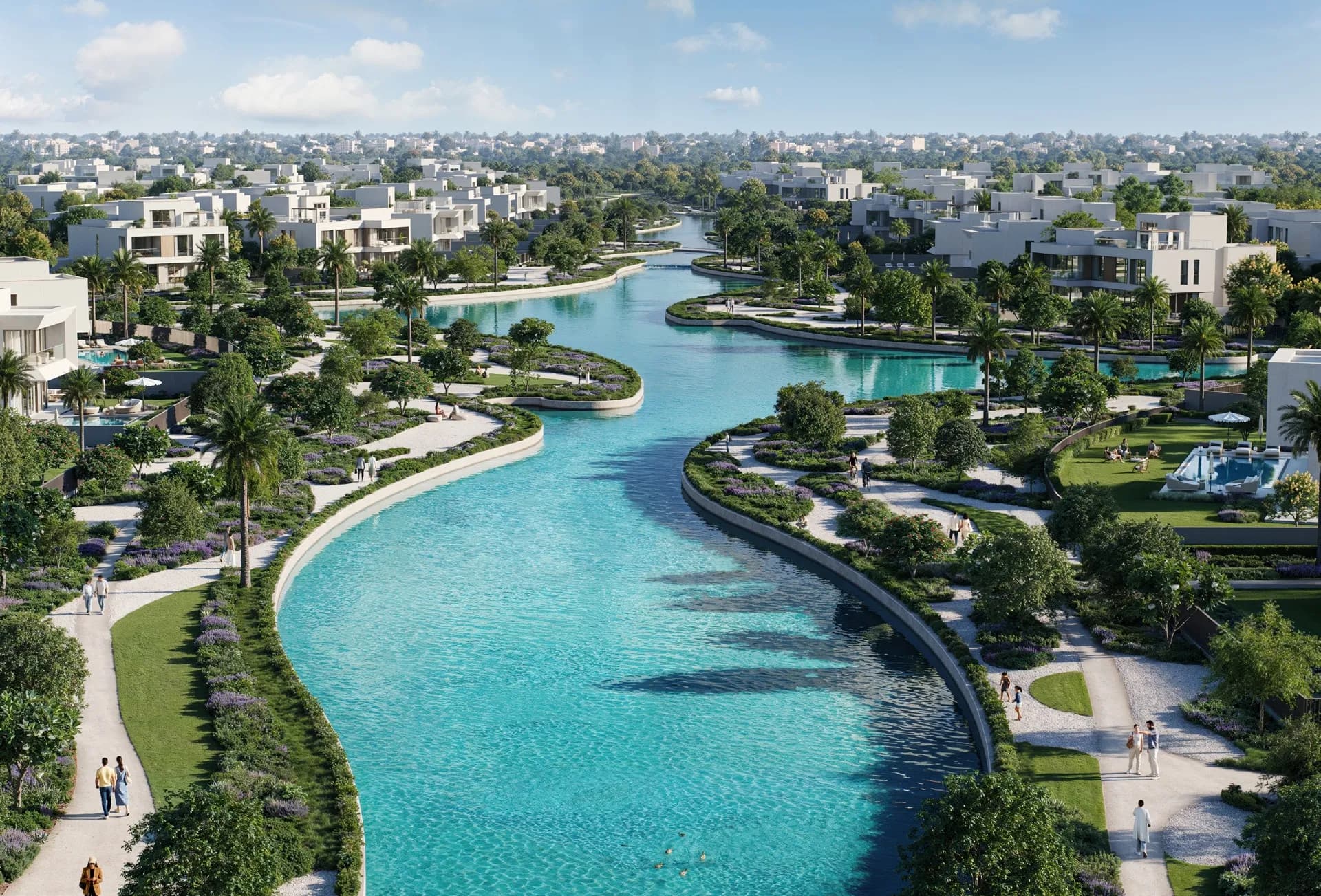 The Oasis
