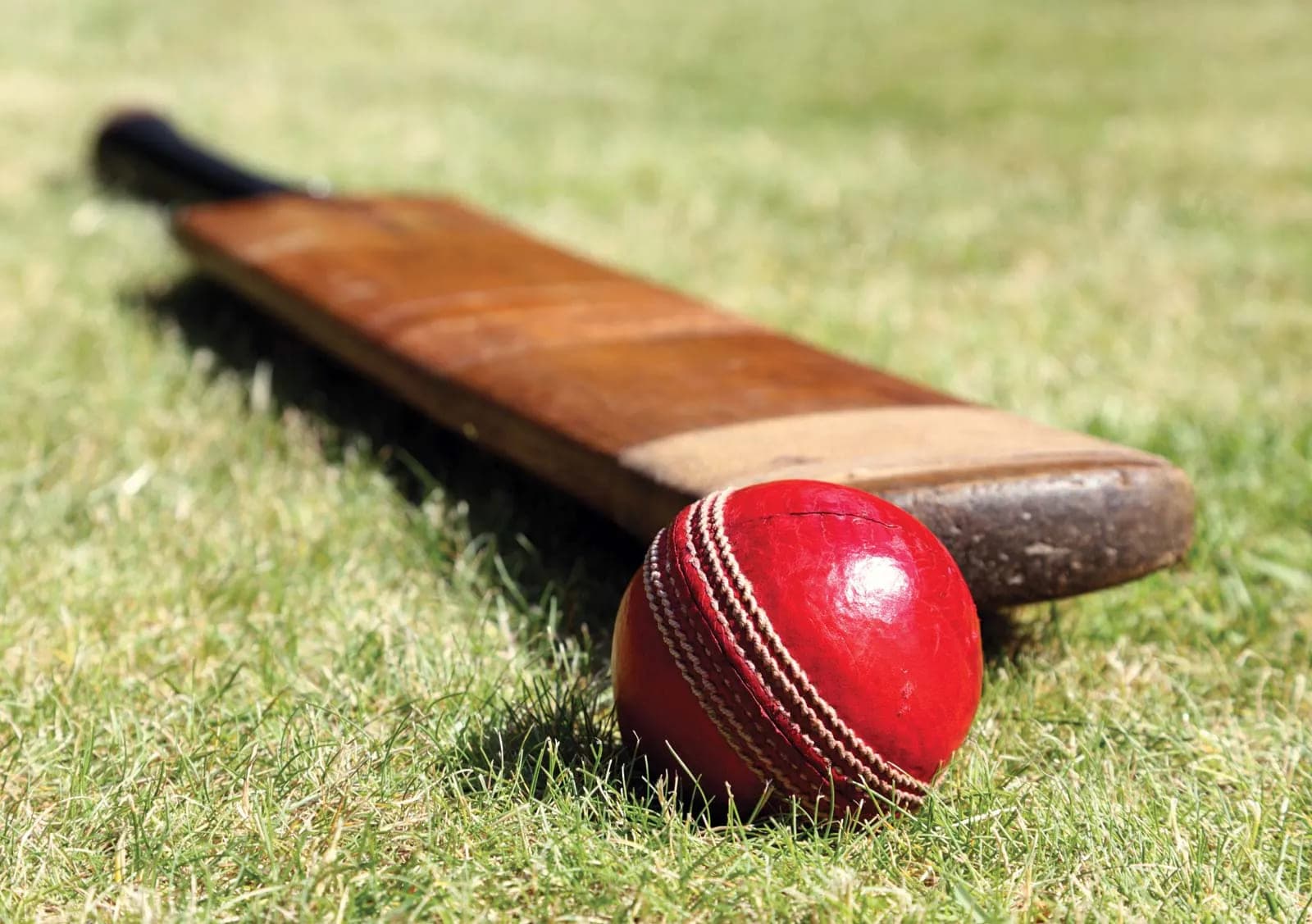 Arabian Hills Estate amenity Cricket Ground - Al Ain, Dubai - by Arabian Hills Investment and Real Estate Development