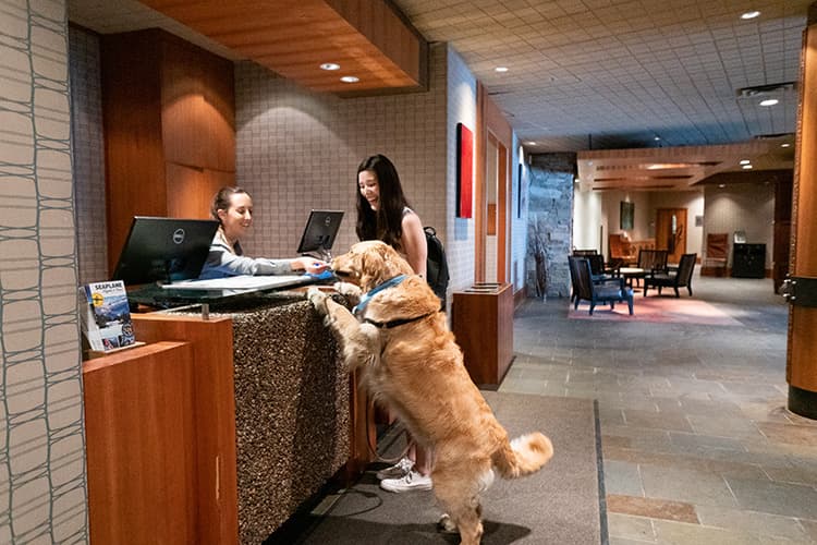 Autograph S Series Residence amenity Pet Friendly - JVC (Jumeirah Village Circle), Dubai - by Green Group