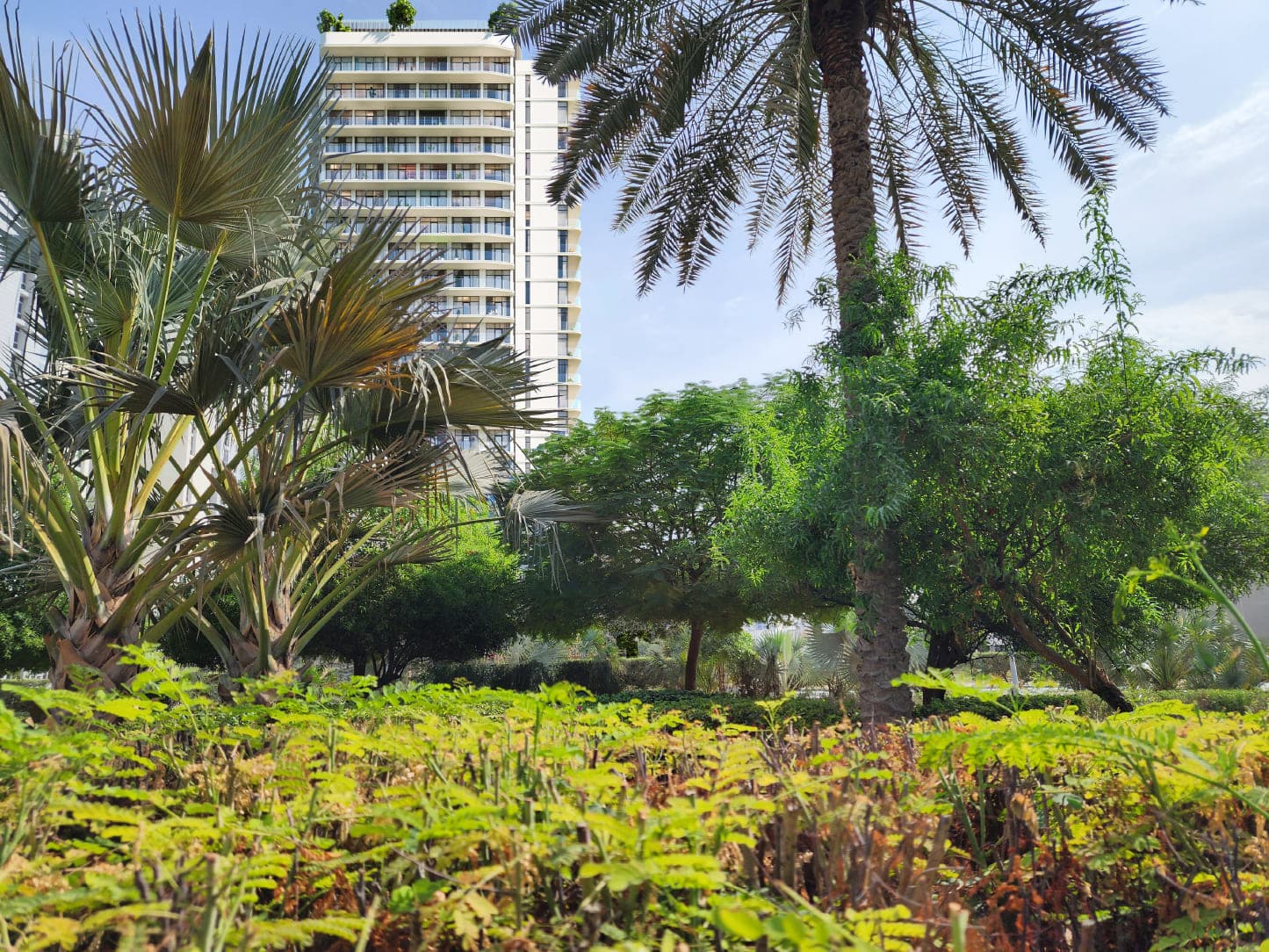 Avant Garde Residences by Skyline amenity Landscaped Gardens - JVC (Jumeirah Village Circle), Dubai - by Skyline Builders