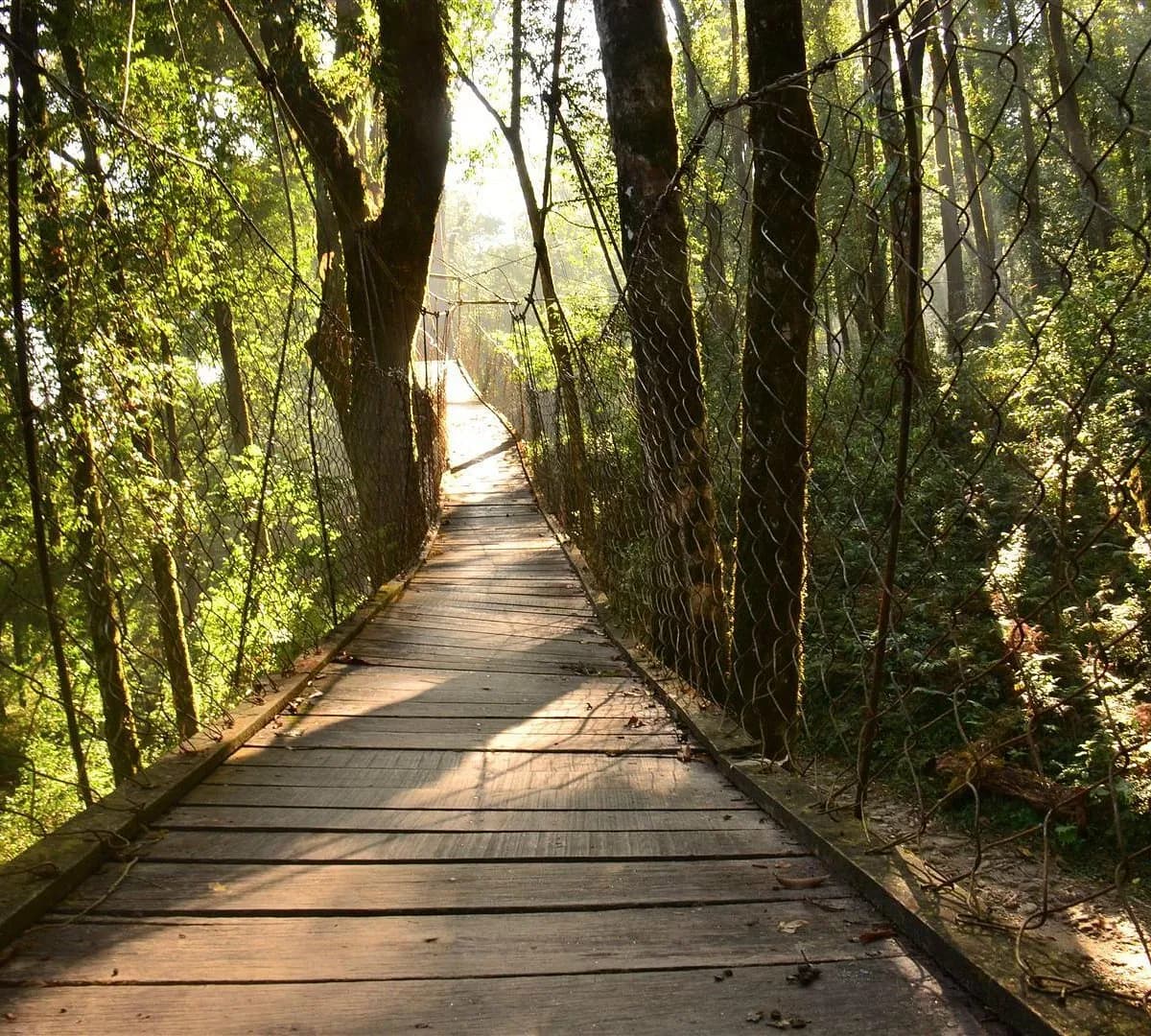 Avelia The Valley amenity Canopy Walk - The Valley, Dubai - by Emaar