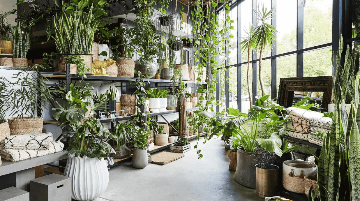 Avenew 888 - Modo amenity Flower & Plant Shop - Dubai South, Dubai - by Avenew Development