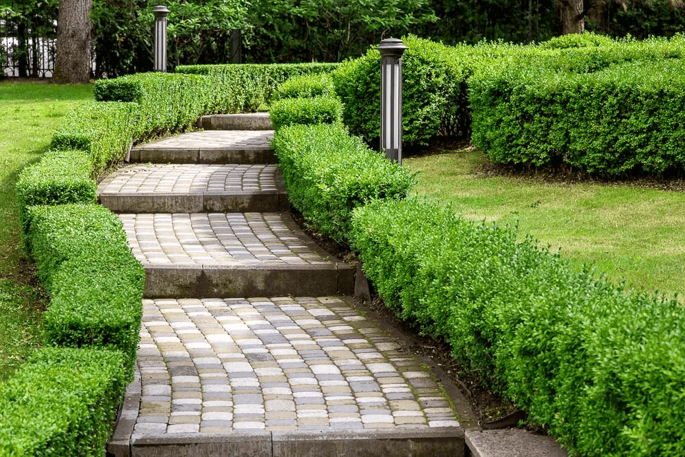 Azizi Amir amenity Landscaped Walk-In Areas - Al Furjan, Dubai - by Azizi