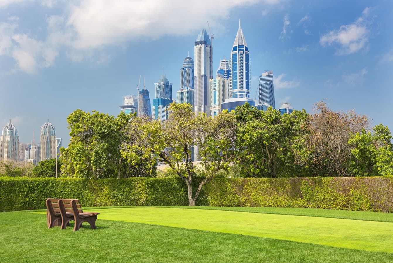 Binghatti Creek amenity Lush Green Parks - Al Jaddaf, Dubai - by Binghatti