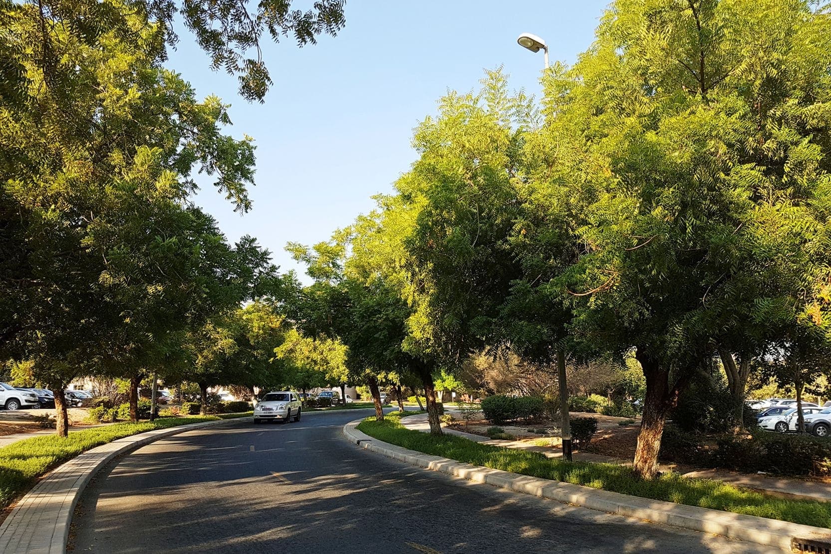 Binghatti Nova amenity Gardens in JVC (Jumeirah Village Circle), Dubai