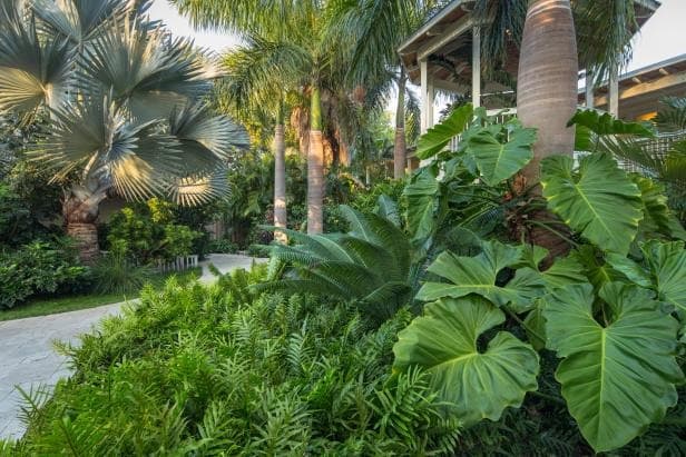 Bloom Living - Carmona amenity Garden - Zayed City, Dubai - by Bloom Holding