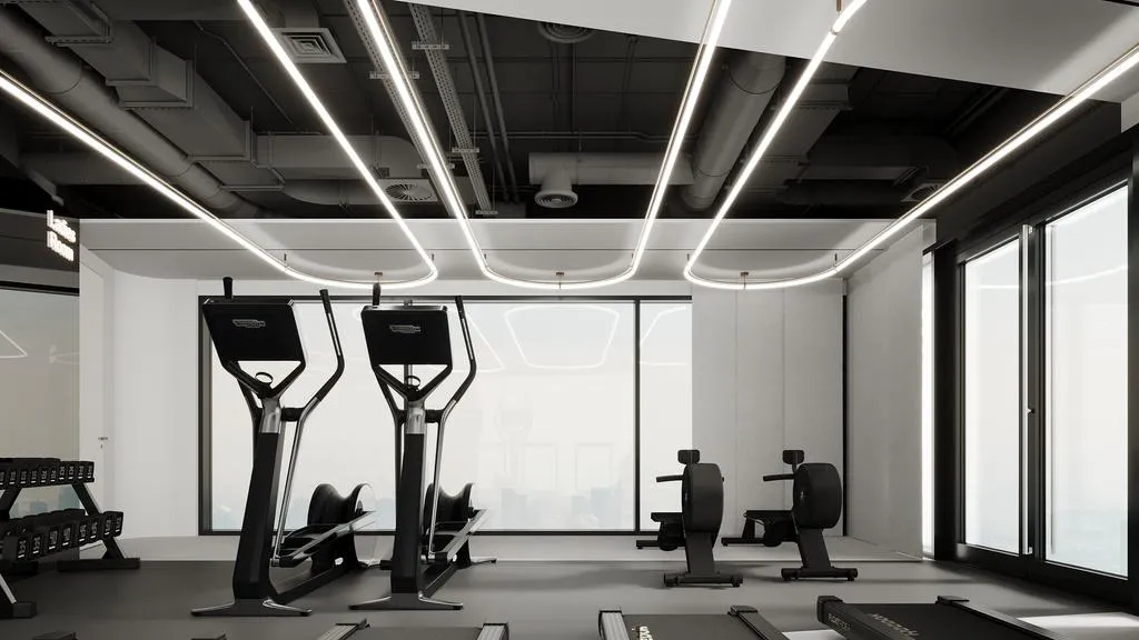 Capital Horizon Terraces amenity Gym - Dubai Islands, Dubai - by Cirrera