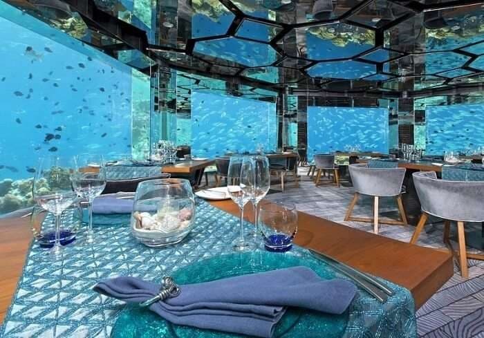 Coral Reef amenity Sea Restaurant - Maritime City, Dubai - by DAMAC