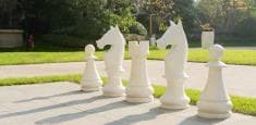 Damac Hills 2 - Park Greens amenity Chess Slate - Damac Hills 2, Dubai - by DAMAC
