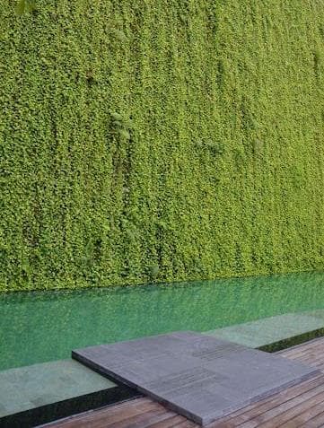 Damac Hills 2 - Park Greens amenity Lush Green Walls - Damac Hills 2, Dubai - by DAMAC