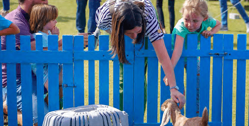 Damac Hills - Belair Phase 2 amenity Petting Farm in Damac Hills, Dubai