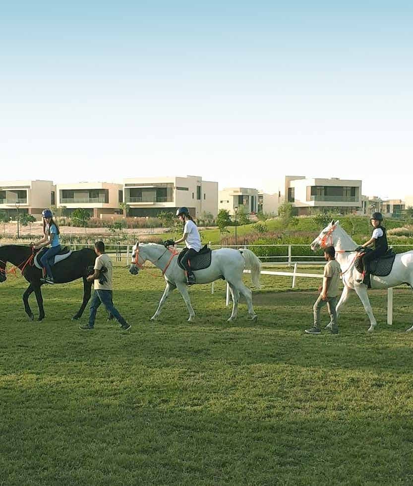 Damac Hills - Golf Gate amenity Stables With Horse-Riding Lessons - Damac Hills, Dubai - by DAMAC