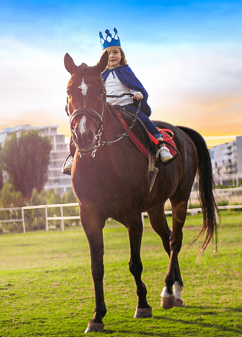 Damac Hills - Park Town amenity Stables With Horse-Riding Lessons - Damac Hills, Dubai - by DAMAC