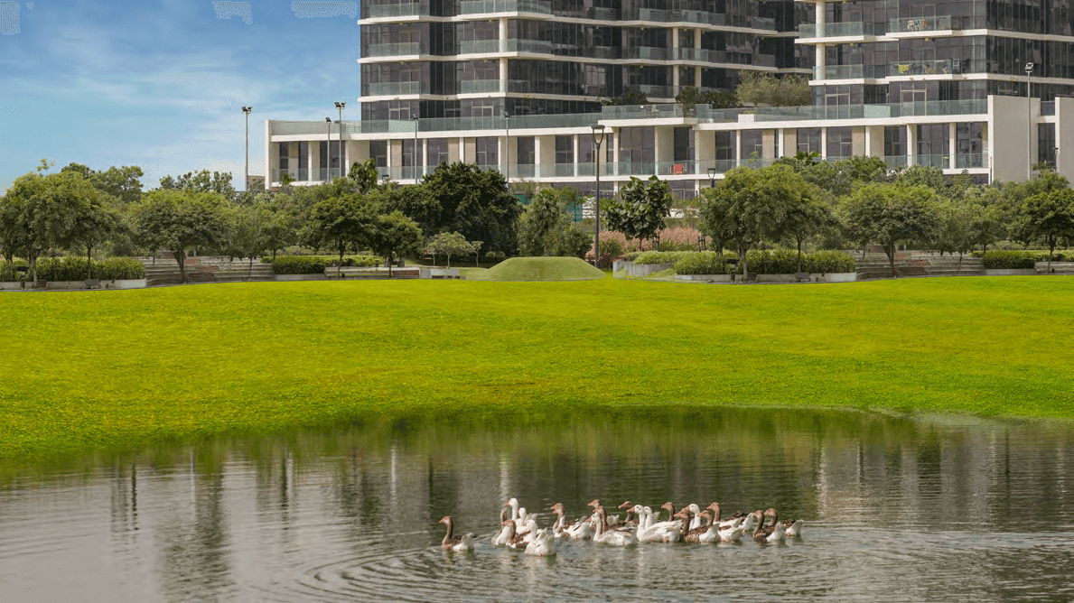 Damac Hills - Park Town amenity The Park - Damac Hills, Dubai - by DAMAC