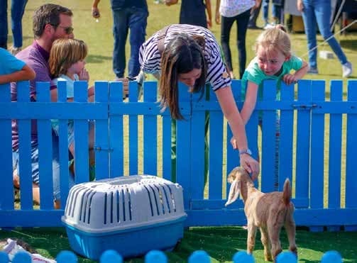 Damac Hills - The Legends amenity Petting Farm in Damac Hills, Dubai