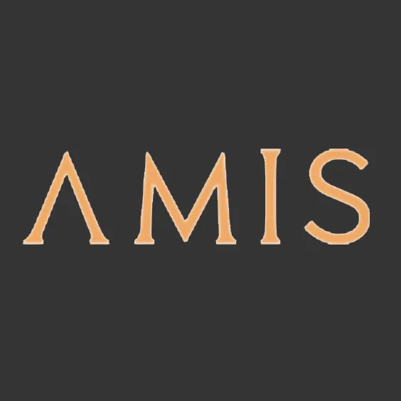 AMIS Development