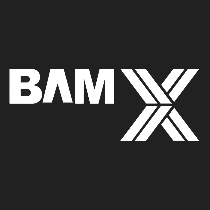BAMX Development