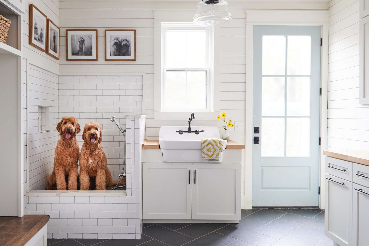 Ellison amenity Pet Washroom - Town Square, Dubai - by Nshama Group