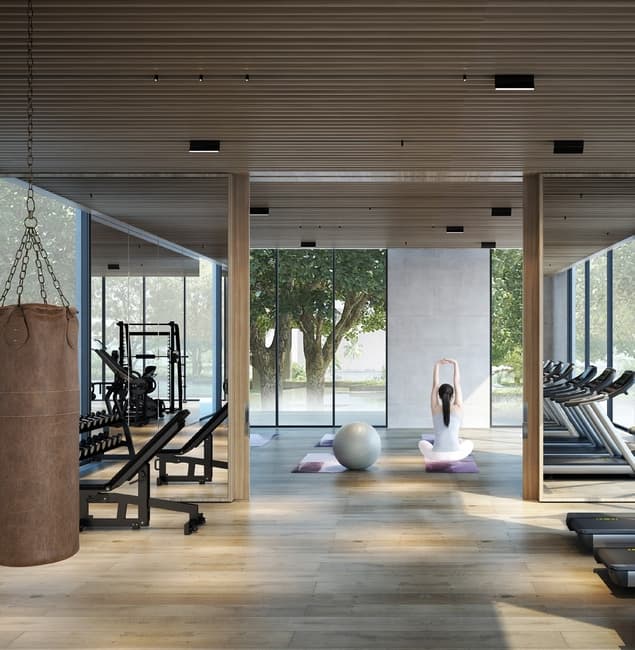 Elora amenity Gymnasium in The Valley, Dubai, by Emaar