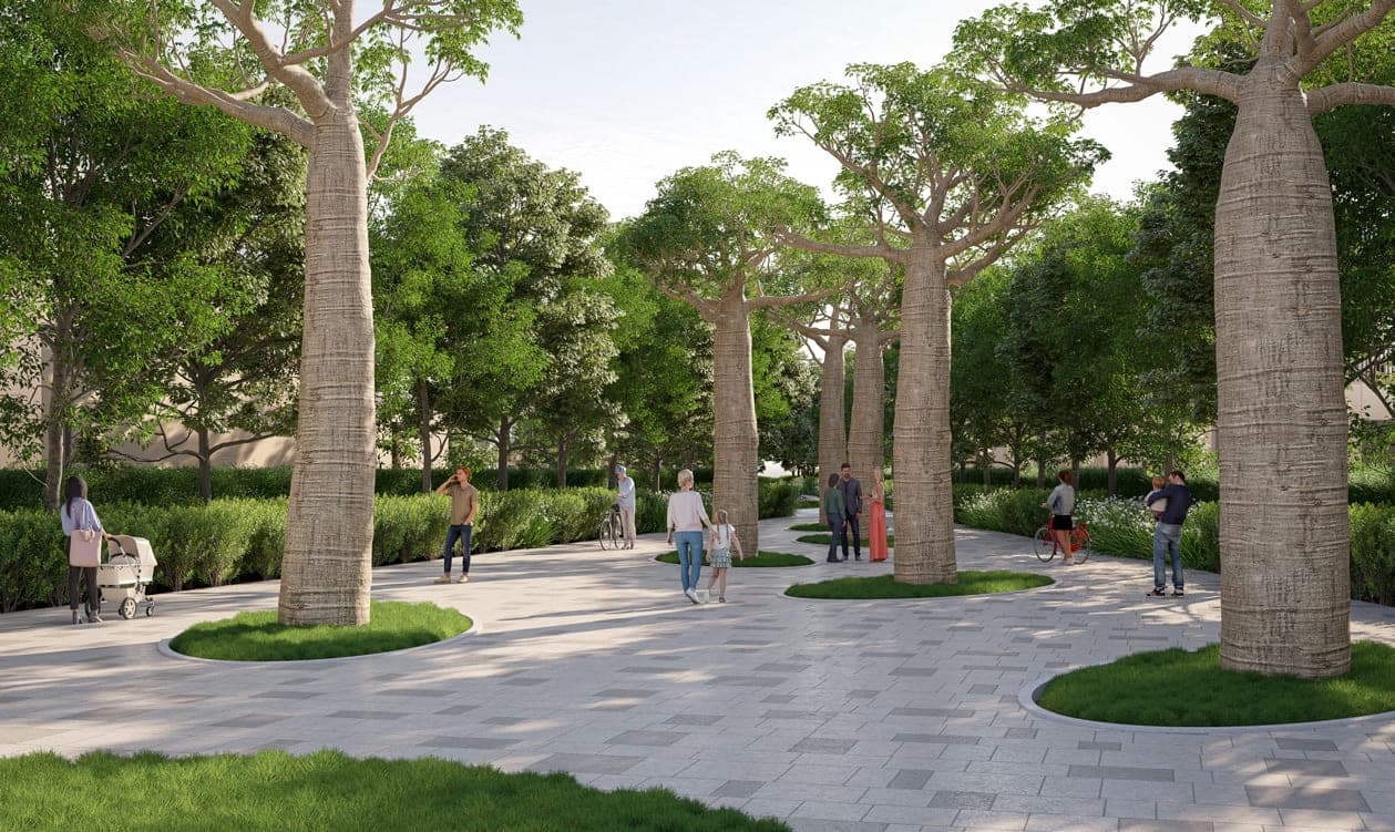 Elwood amenity Baobab Tree Court - The Valley, Dubai - by Sobha