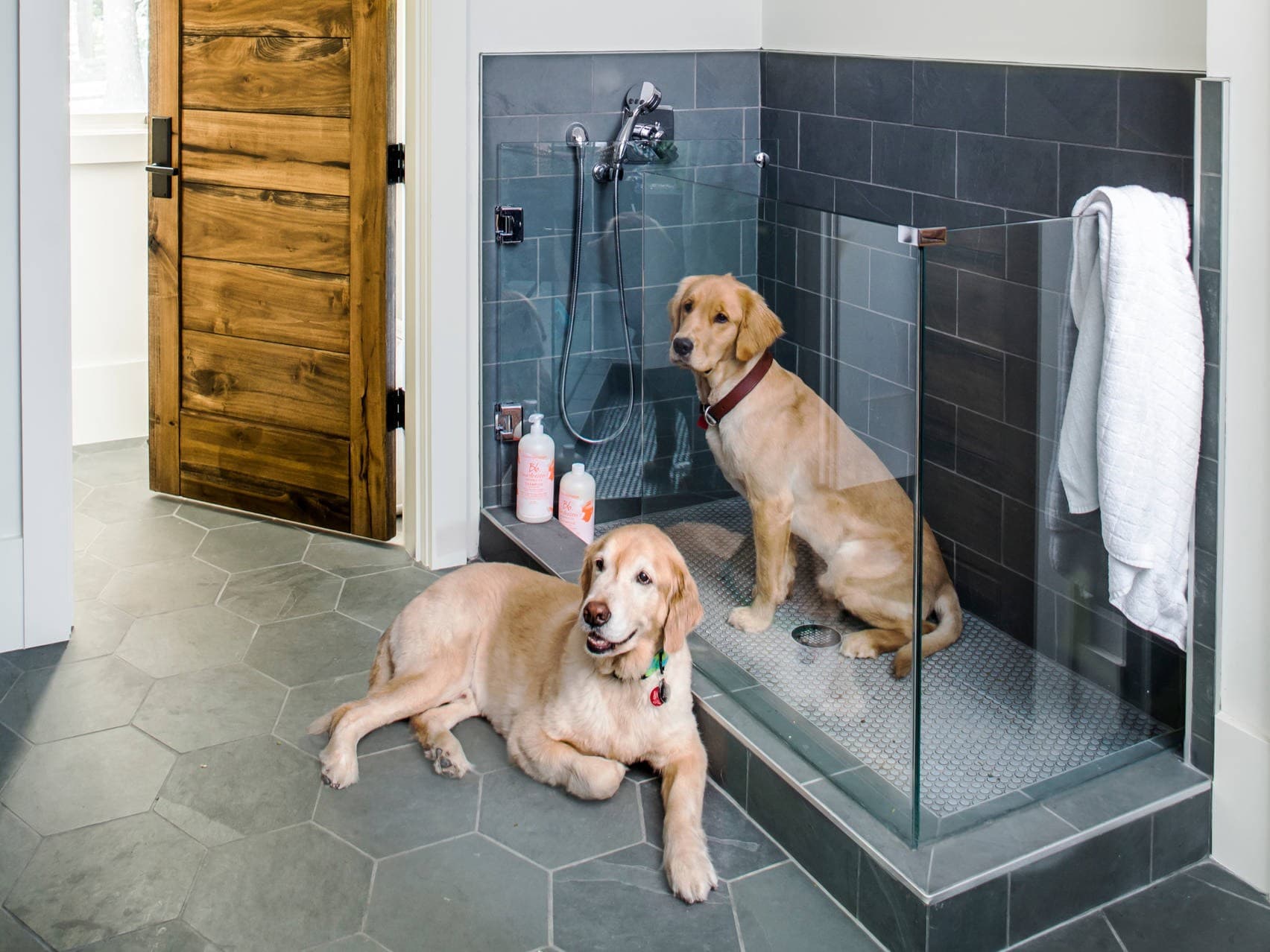Fairmont Residences Al Marjan Island amenity Dog Wash Station - Al Marjan Island, Dubai - by Ardee Developments