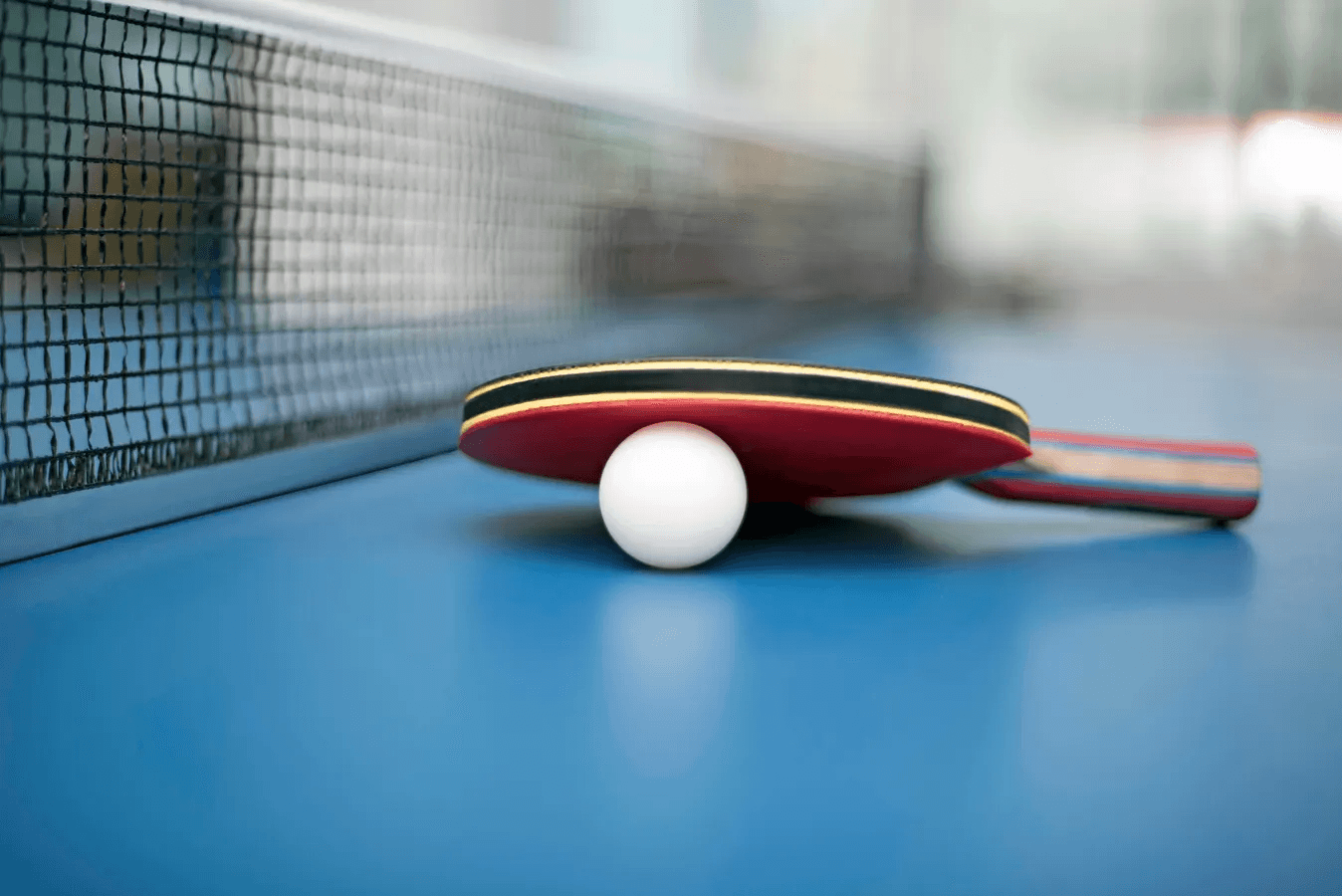 Floarea Vista amenity Outdoor Table Tennis - Discovery Gardens, Dubai - by Mashriq Elite