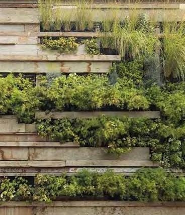 Keturah Ritz Carlton amenity Organic Plants Garden in Al Jaddaf, Dubai, by MAG