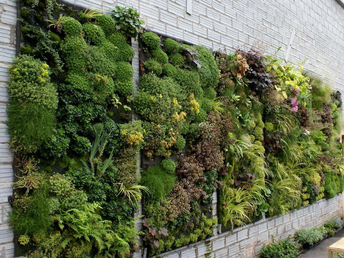 Laguna Residence amenity Vertical Garden - City Of Arabia, Dubai - by One Development