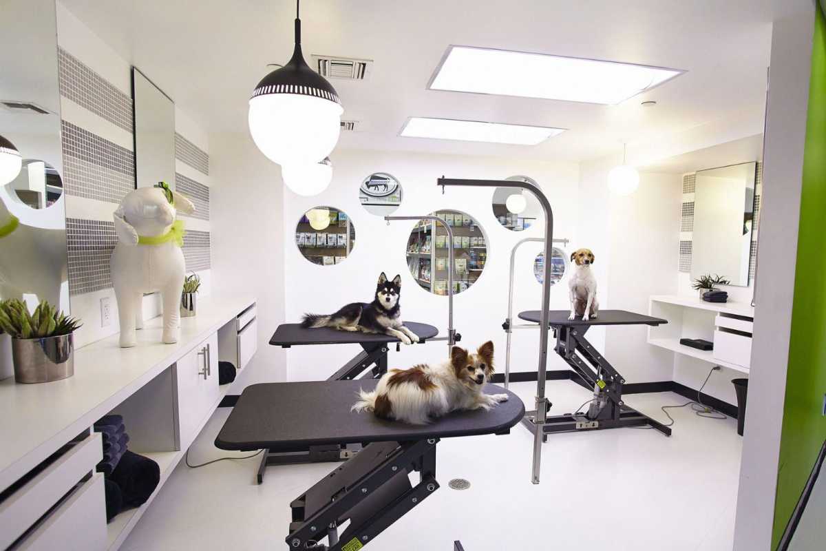 Mandarin Oriental Residences amenity Pet Grooming Rooms - Al Saadiyat island, Dubai - by ALDAR