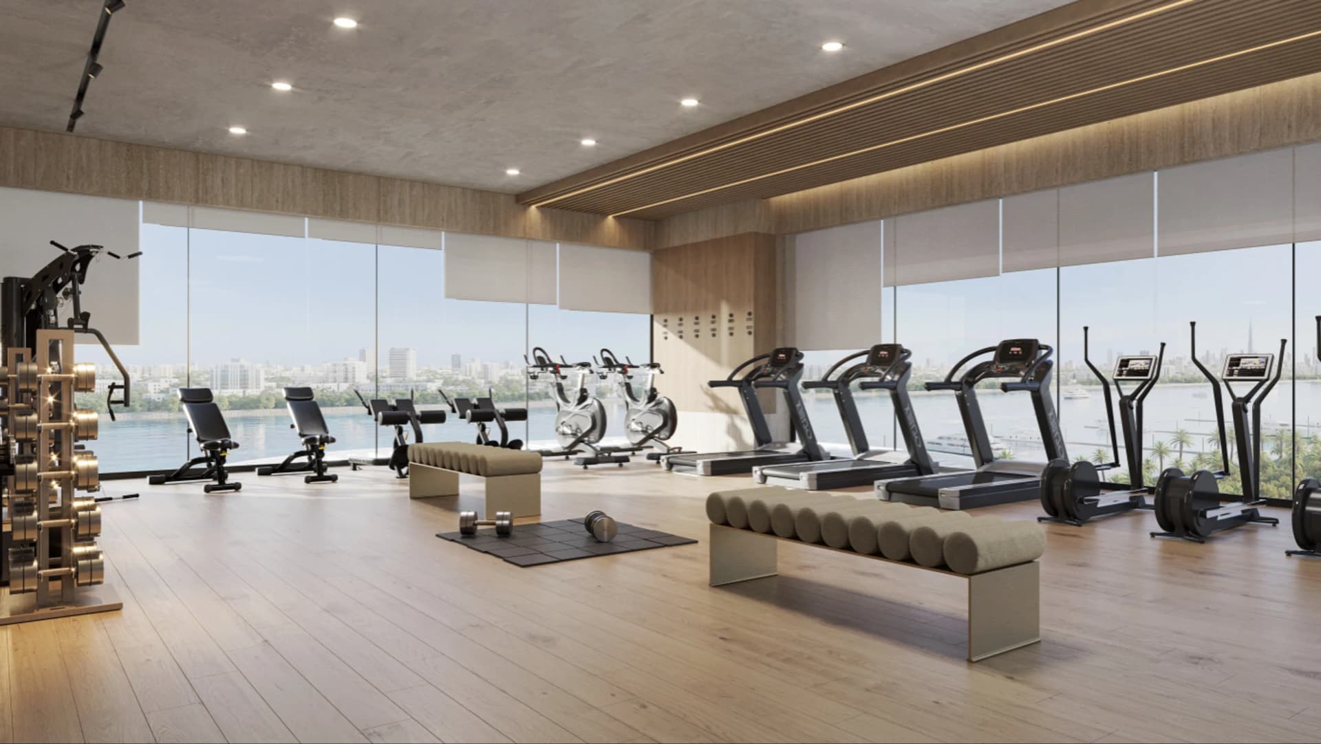 Maravea Residences amenity Gym in Dubai Islands, Dubai, by Enzo Developers