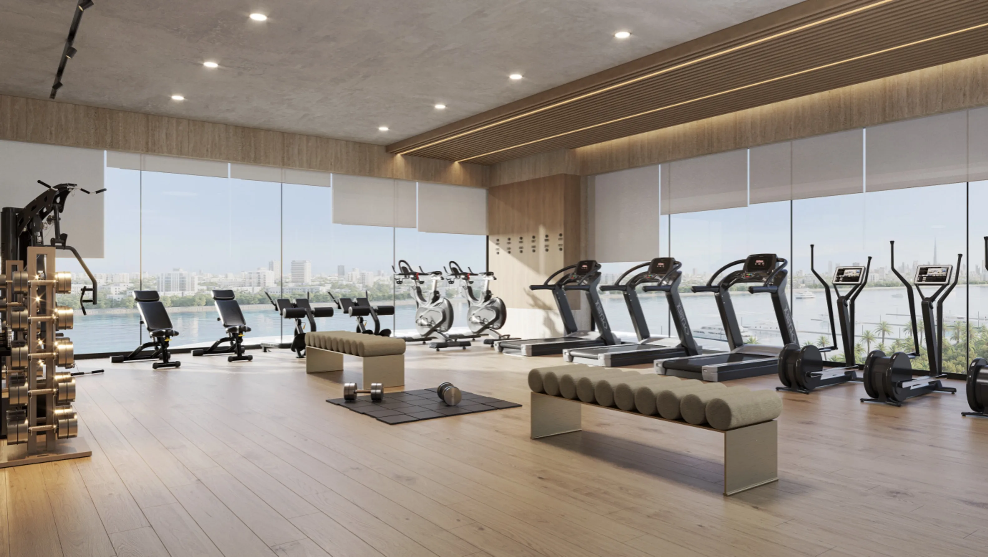 Maravea Residences amenity Gym - Dubai Islands, Dubai - by Enzo Developers