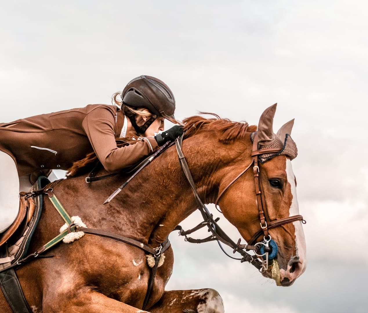 May amenity Dubai Polo And Equestrian Club - Arabian Ranches 3, Dubai - by Emaar