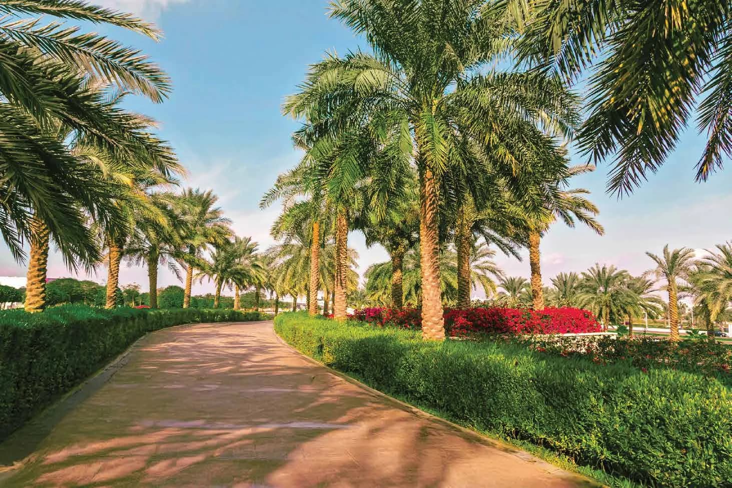 Miorah by Zoya amenity Green Community - Madinat Al Mataar, Dubai - by Zoya Developments