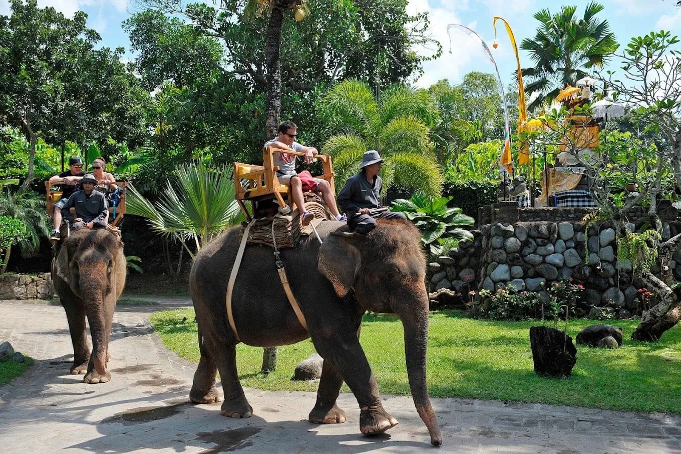 Moon Rock Villas amenity Bali Zoo - Gianyar, Dubai - by Big Waves Development