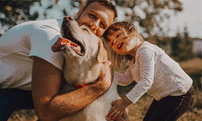 Mudon Al Ranim 1 amenity Dog Parks - Damac Hills, Dubai - by Dubai Properties