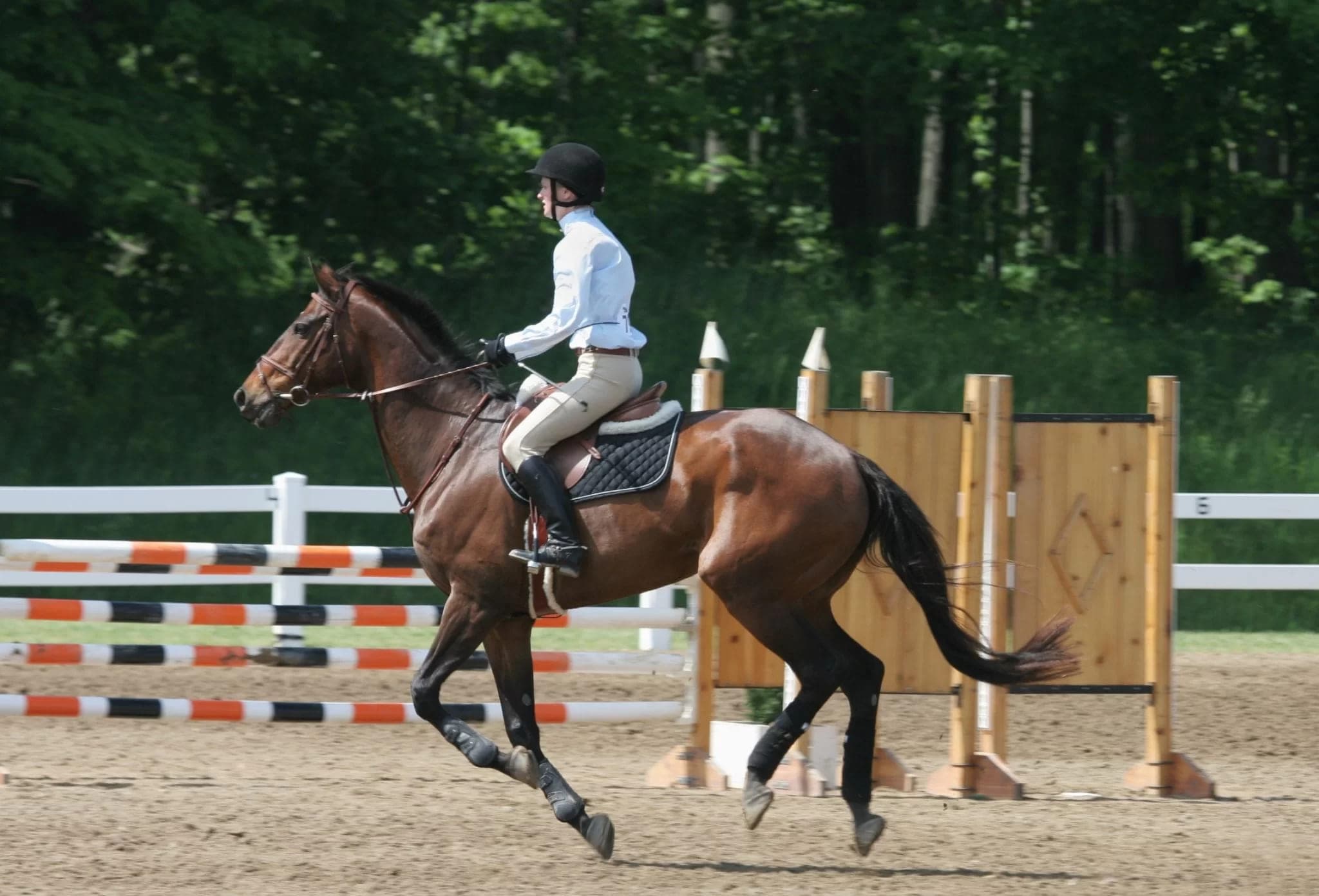 Natuzzi Harmoni amenity Horse Riding Course - Dubai Islands, Dubai - by Peace Homes Development