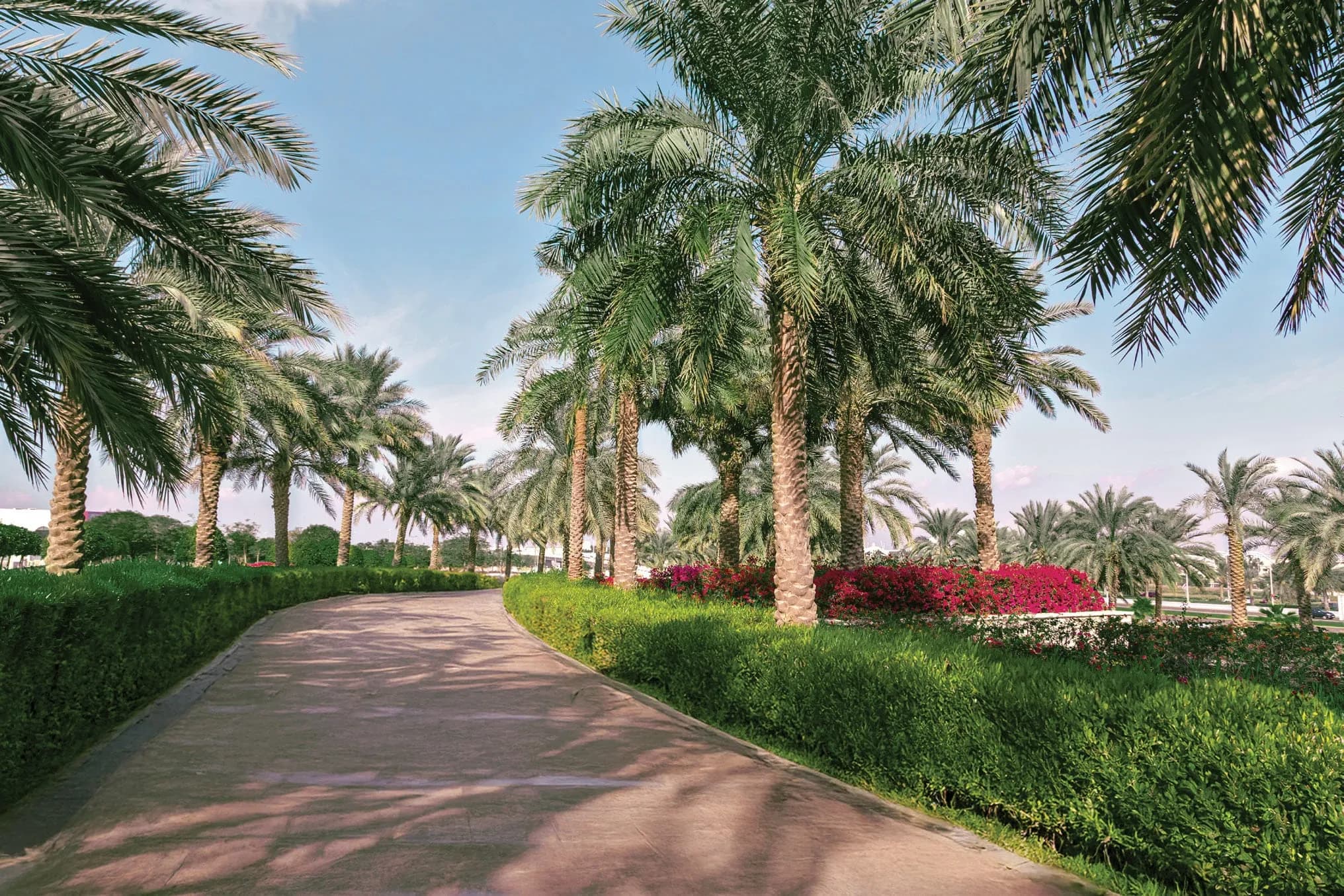Nuve by Zoya amenity Community Parks - Dubai Residence Complex, Dubai - by Zoya Developments