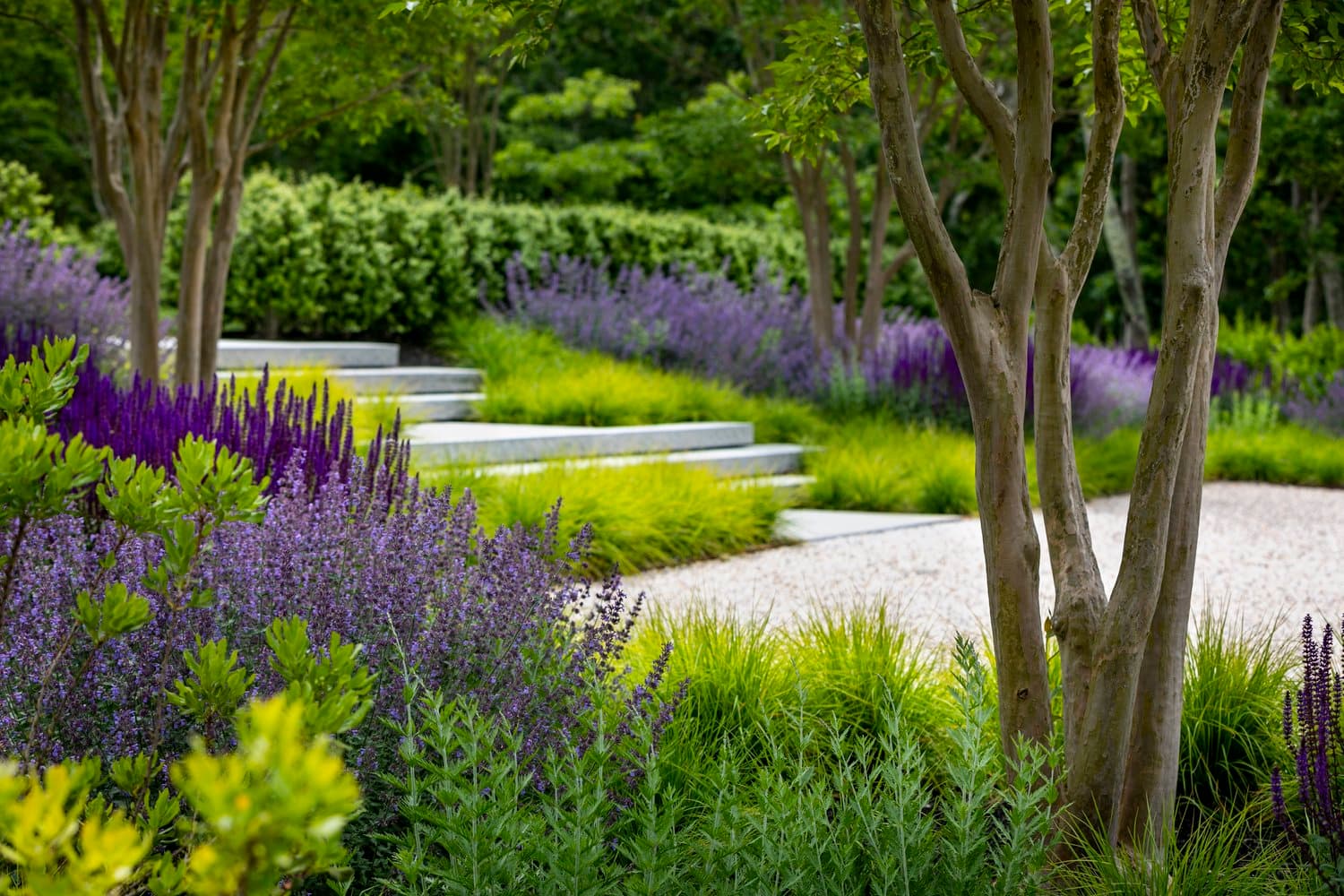 Porto View amenity Lush, Landscaped Gardens - Mina Rashid, Dubai - by Emaar
