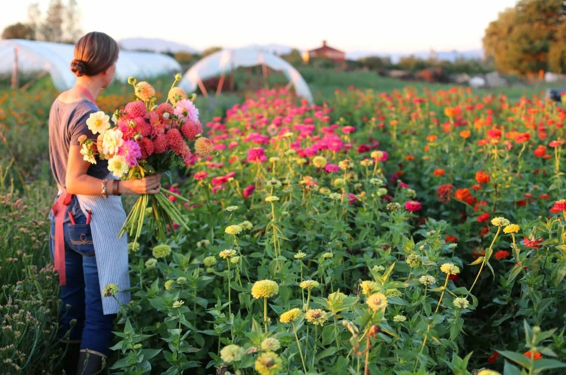 Rivera The Valley amenity Flower Farm in Umm Nahad 3/Madinat Hind 3, Dubai, by Emaar