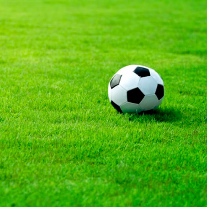 Rivera The Valley amenity Soccer Pitch - Umm Nahad 3/Madinat Hind 3, Dubai - by Emaar