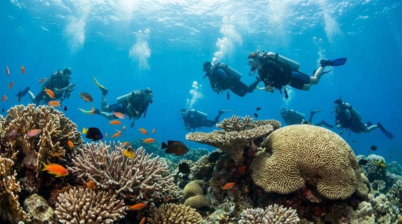 Salt Virgin Beach amenity Own Diving Center - Karangasem, Dubai - by Big Waves Development