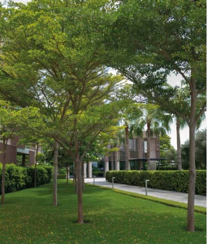 Sea Glints Mansions amenity Common Garden - Al Zorah City, Dubai - by Al Zorah Development Company