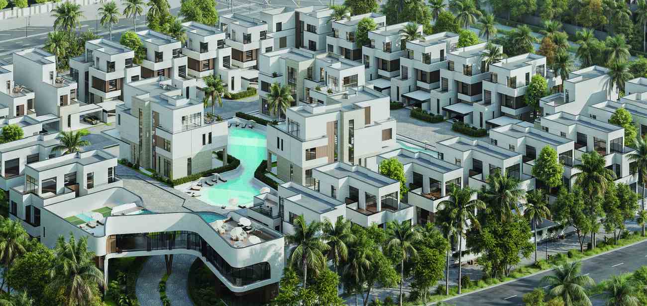 Swank Development