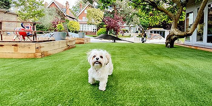 Sol Levante amenity Pet Garden - JVT (Jumeirah Village Triangle), Dubai - by SOL Properties