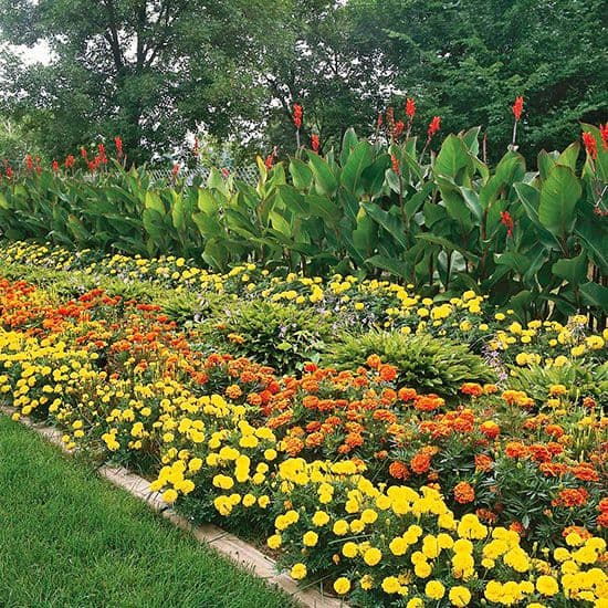 The Autograph i Series Residence amenity Landscaping & Plantation
- JVC (Jumeirah Village Circle), Dubai - by Green Group