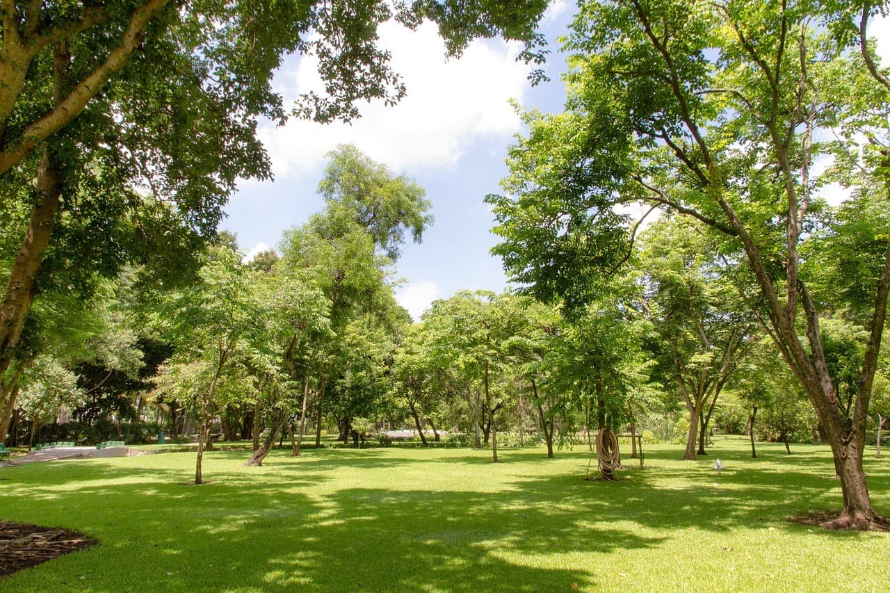 The Autograph Residences amenity Parks And Gardens in JVC (Jumeirah Village Circle), Dubai, by Green Group