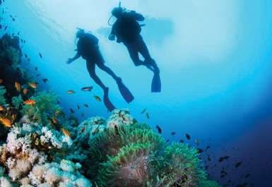 The Heart of Europe - Honeymoon Island and The Floating Seahorse amenity Sport Activities in World of Islands, Dubai, by THOE